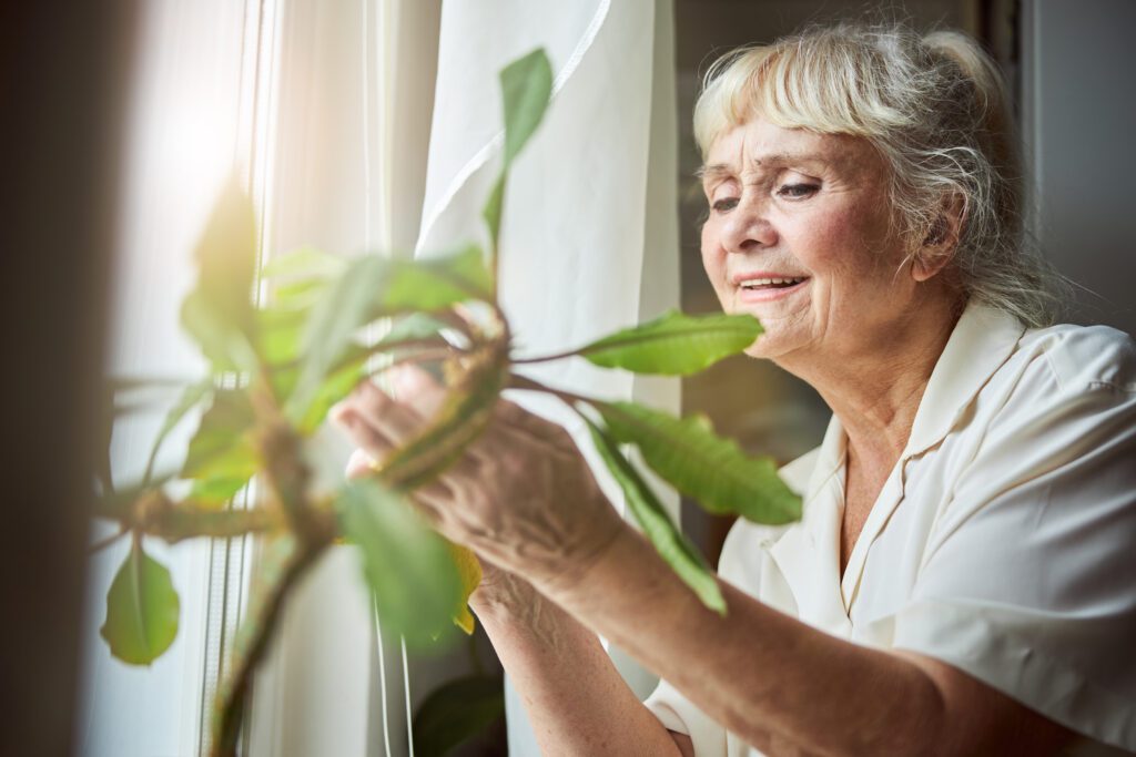 20 Essentials for a Smooth and Supportive Transition to Assisted Living